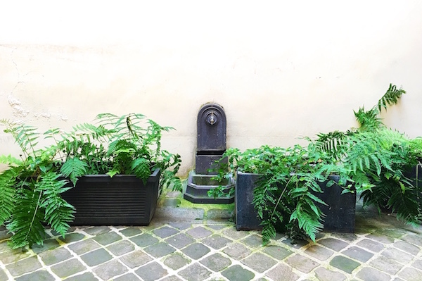 Une fontaine dans une courette parisienne