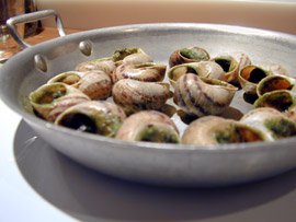 Escargot Guide + Escargots de Bourgogne Recipe