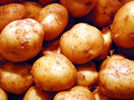 The Rolls Royce of Potatoes