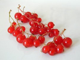 First Red Currants Chocolate Zucchini