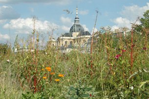 Le Potager du Roi