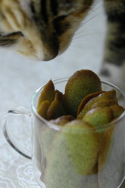 Langues de chat au thé vert