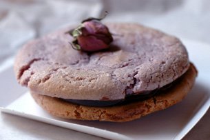 Macaron Violette Chocolat