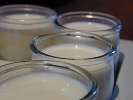 Homemade yogurts