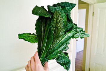 Recettes de kale