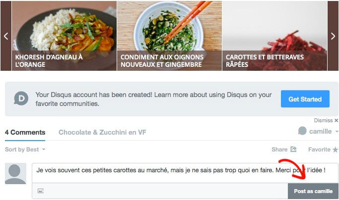 Votre compte Disqus est créé ! Vous pouvez maintenant déposer un commentaire et cliquer sur le bouton "Post as (votre nom)".