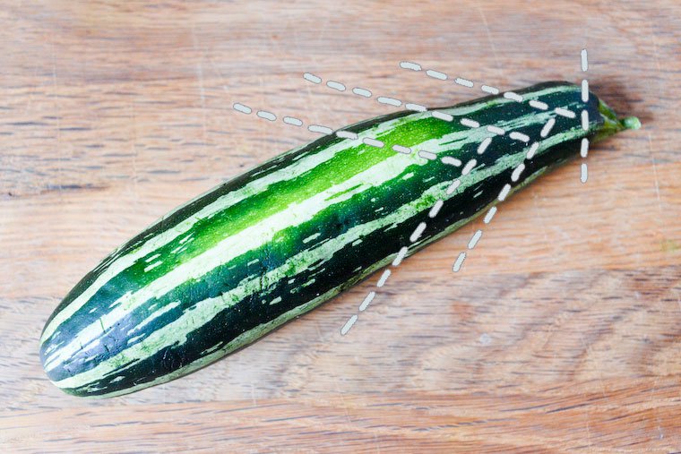 courgette_striee_dotted.jpg