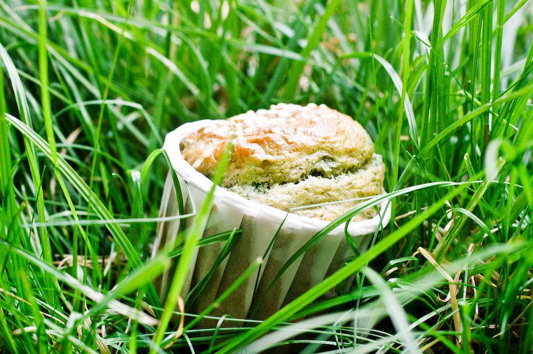 Fresh Herb Muffin