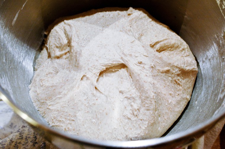 Baguette dough, folded