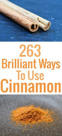 Got cinnamon and not sure what to do with it -- beyond the obvious? We have a goldmine of cinnamon recipes and ideas, sweet and savory, to use your stash!