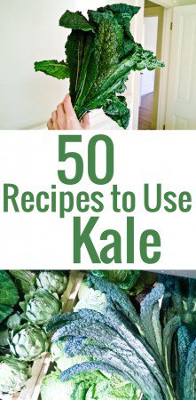 50 inspired recipe ideas to use kale and incorporate this superfood in your diet.