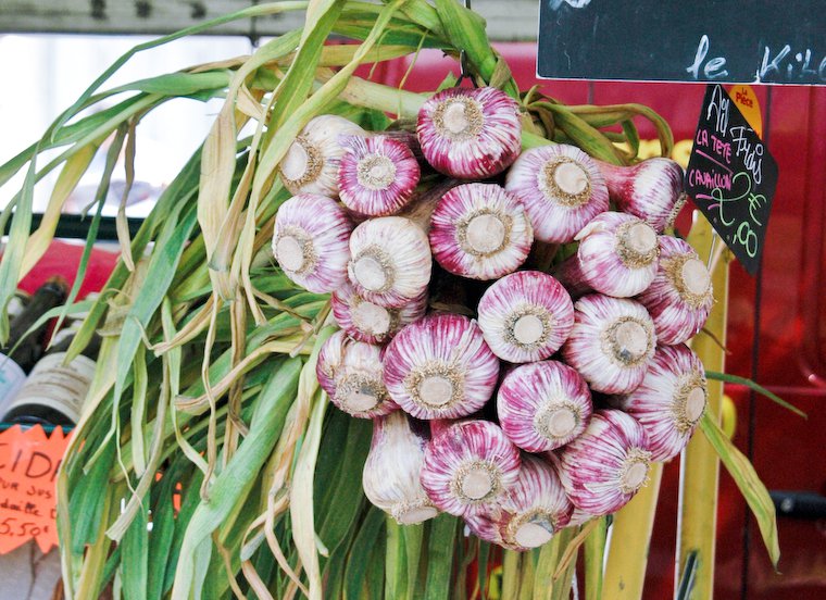 Fresh garlic