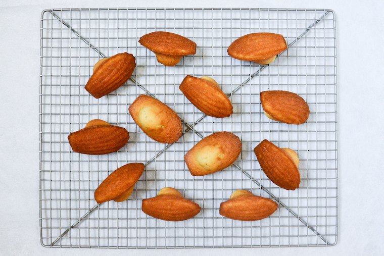 Perfect Madeleines