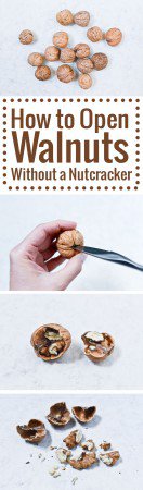 How to open Walnuts without a nutcracker: an easy method requiring a simple knife!
