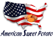 American Sweet Potato