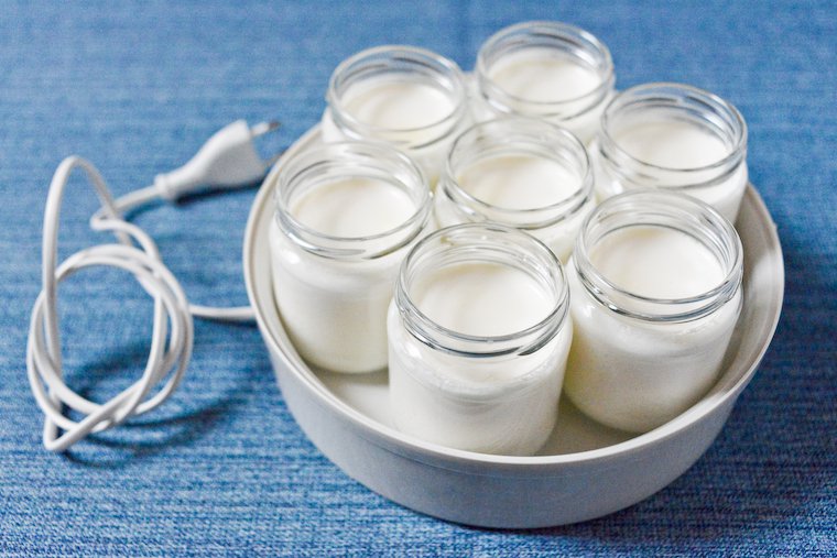 Coconut Milk Yogurt