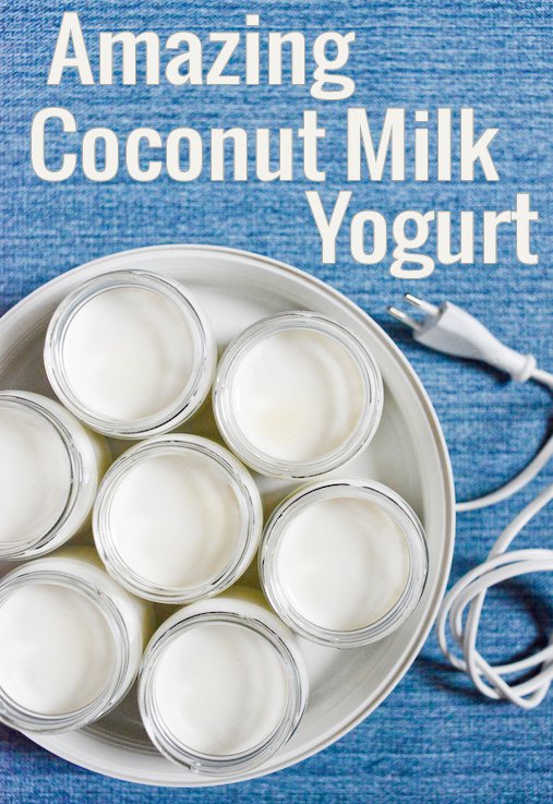 Coconut Milk Yogurt