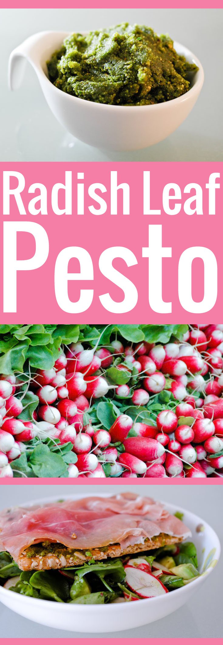 Radish Leaf Pesto Recipe Chocolate & Zucchini