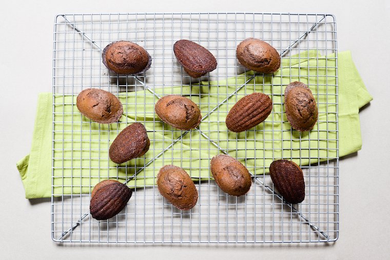 Chocolate Madeleines