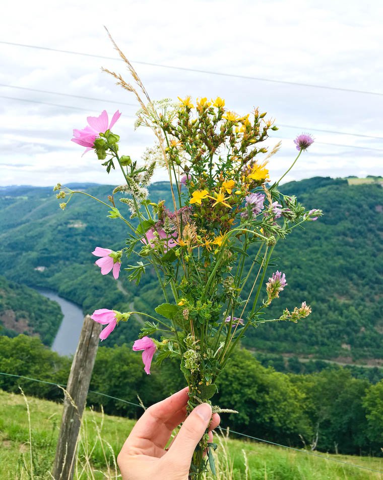 Wild Flowers